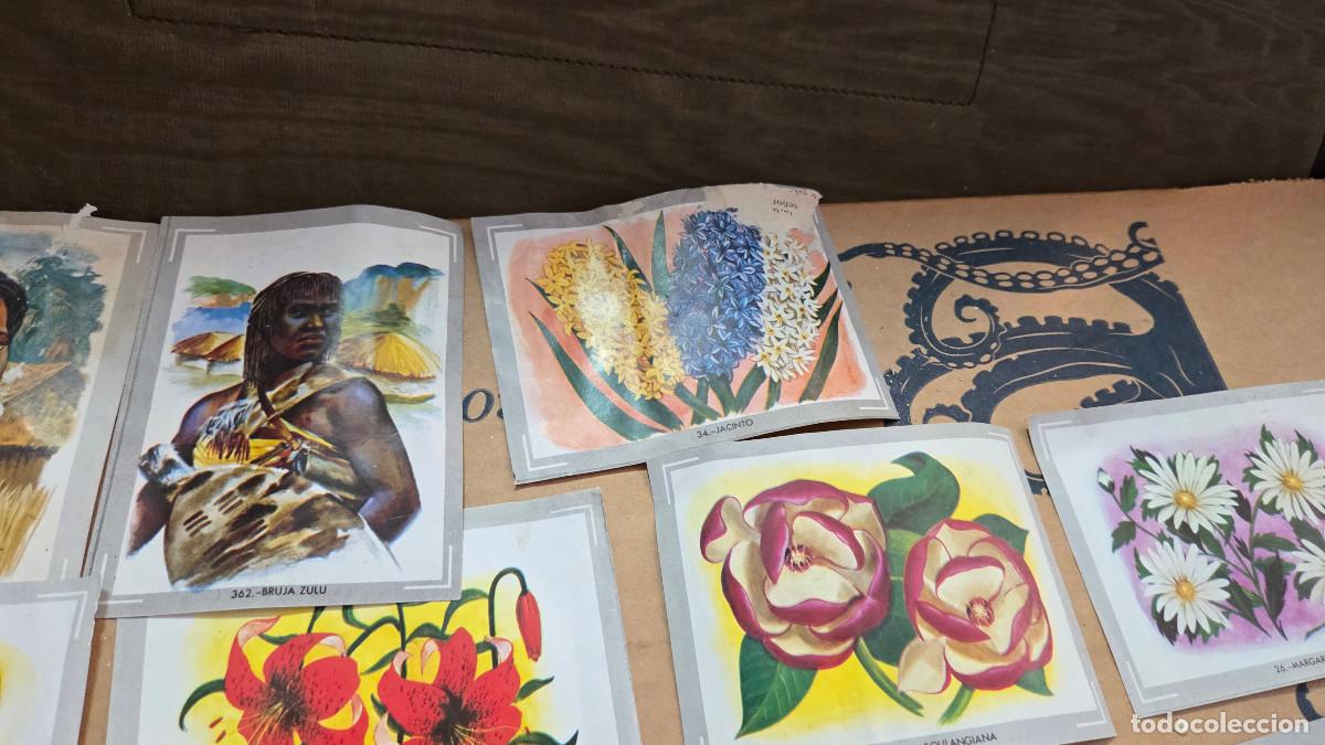 Vintage: lote de cromos de las razas - Foto 6