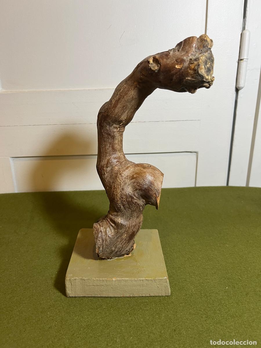 Vintage: Escultura R&uacute;stica de Cepa de Vid sobre Peana Madera Natural Decoraci&oacute;n Wabi Sabi Vintage