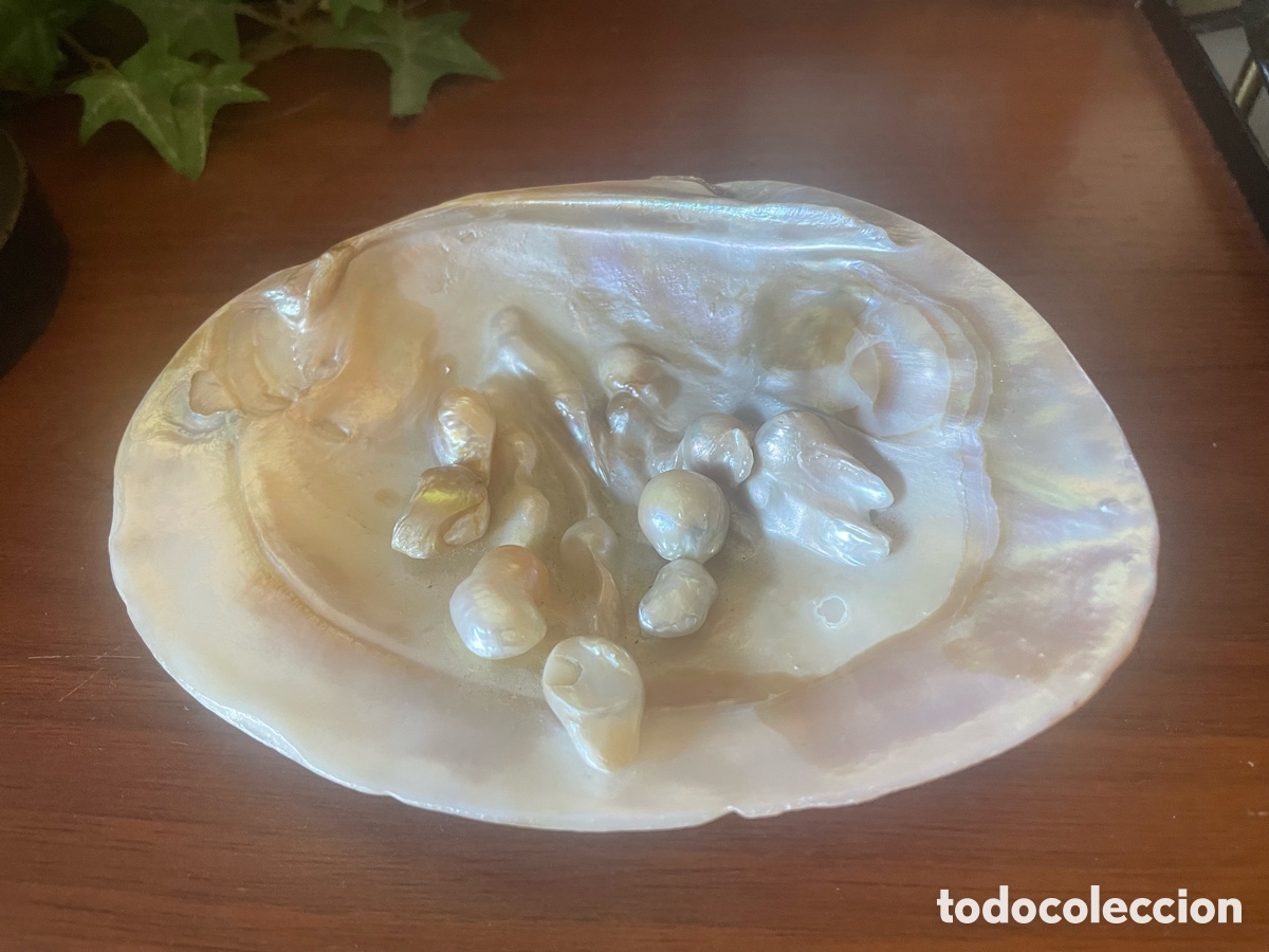 Vintage: concha marina con perlas
