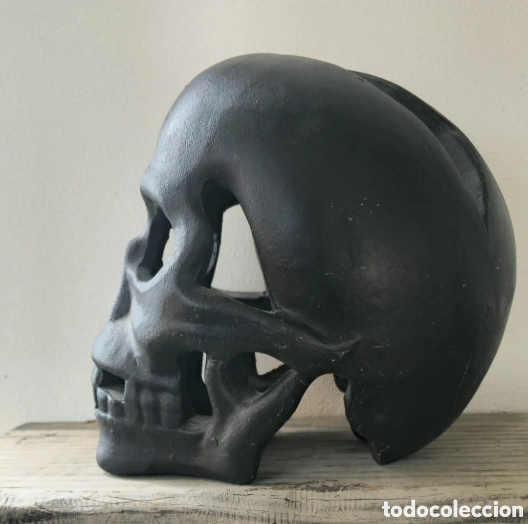 Vintage: Craneo calavera decorativa - Foto 8