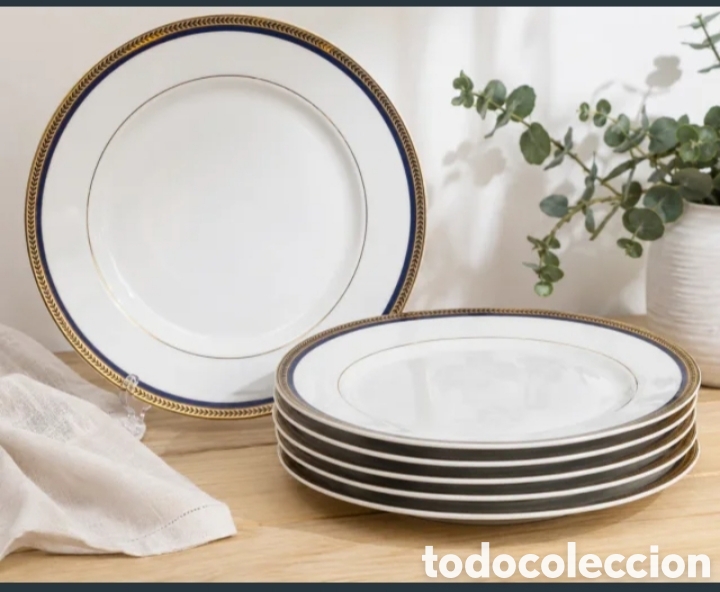 Vintage: 6 platos llanos originales de Bidasoa