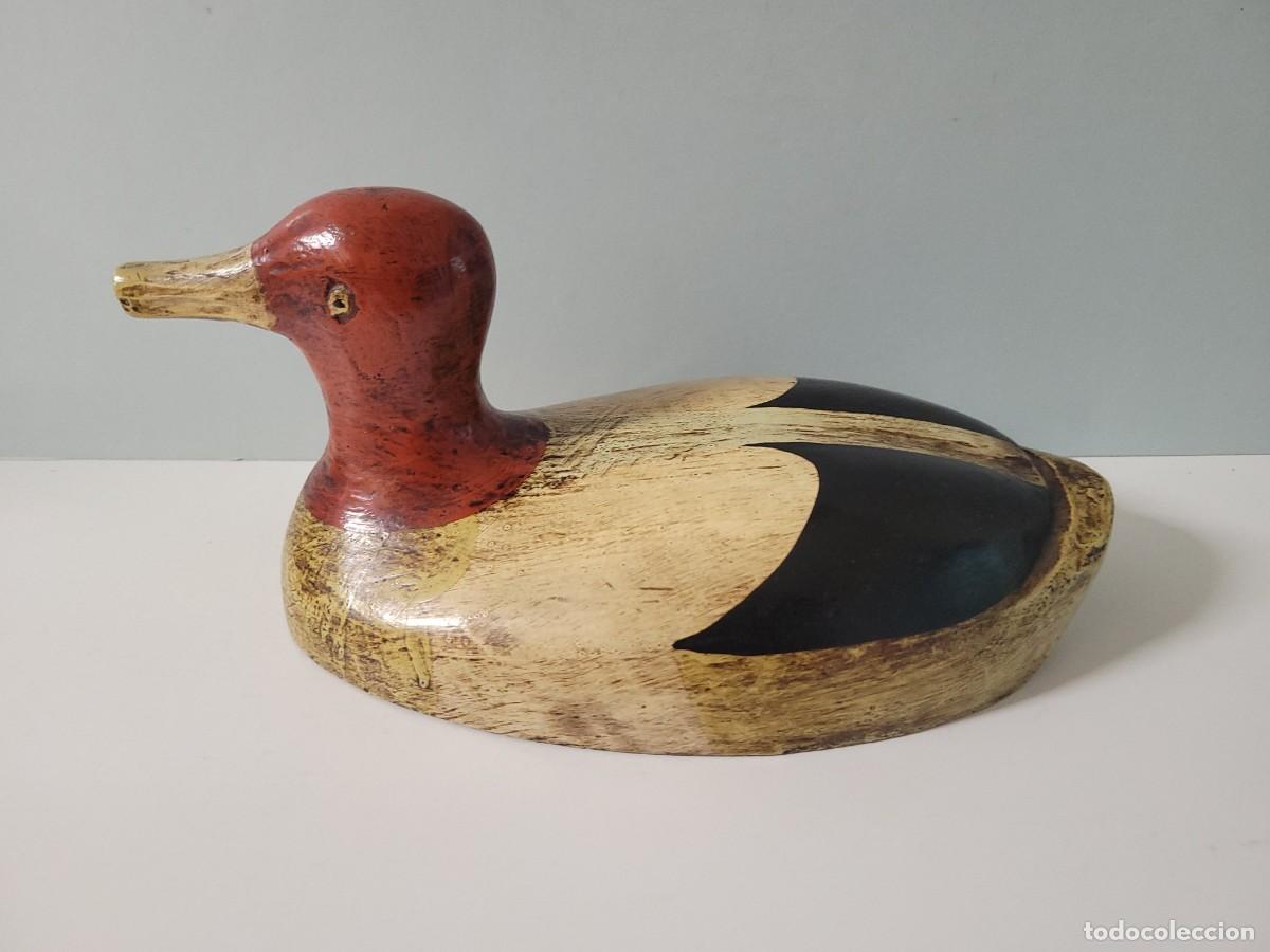 Vintage: Pato se&ntilde;uelo de madera, Aythya americana mod.5