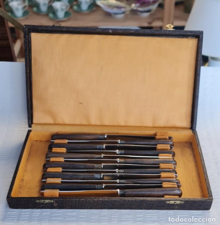 Vintage: Juego de 12 Cuchillos de Fruta Antiguos con Mango de Madera Oscura