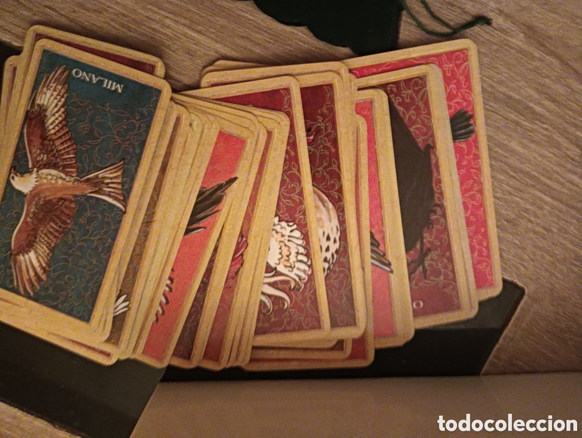 Vintage: Astrolog&iacute;a y adivinaci&oacute;n - Foto 10