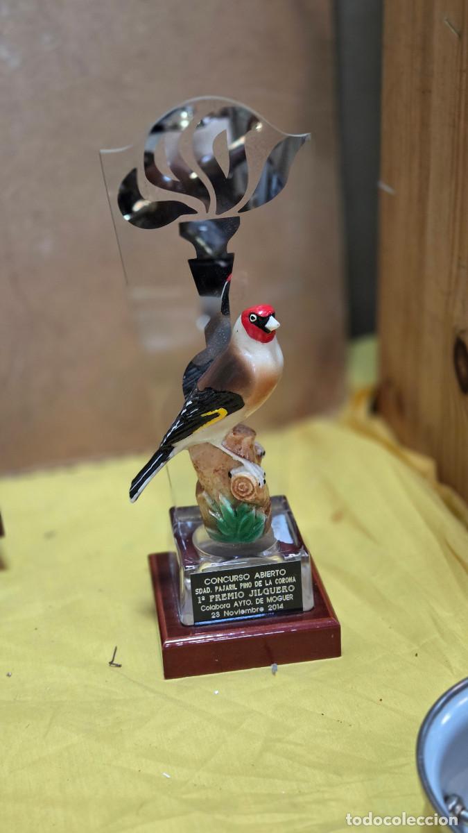 Vintage: figura trofeo jilguero