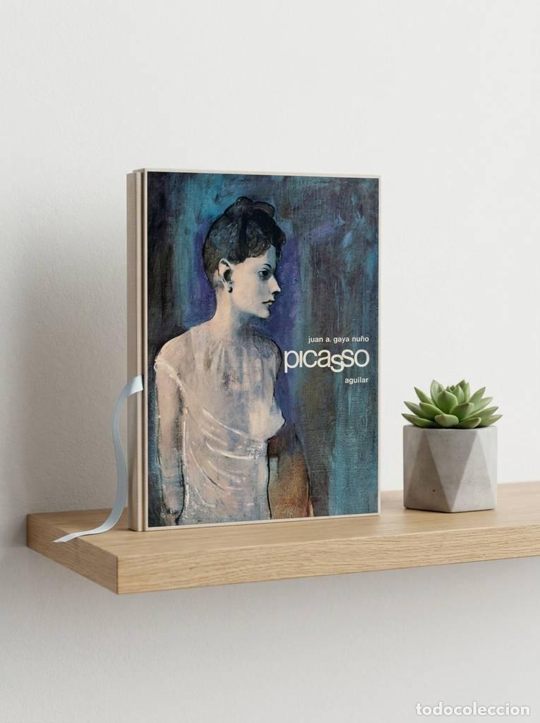 Vintage: COLECCI&Oacute;N LIBROFILM DE PICASO
