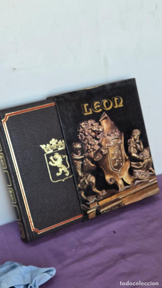 Vintage: libro de leon vintage