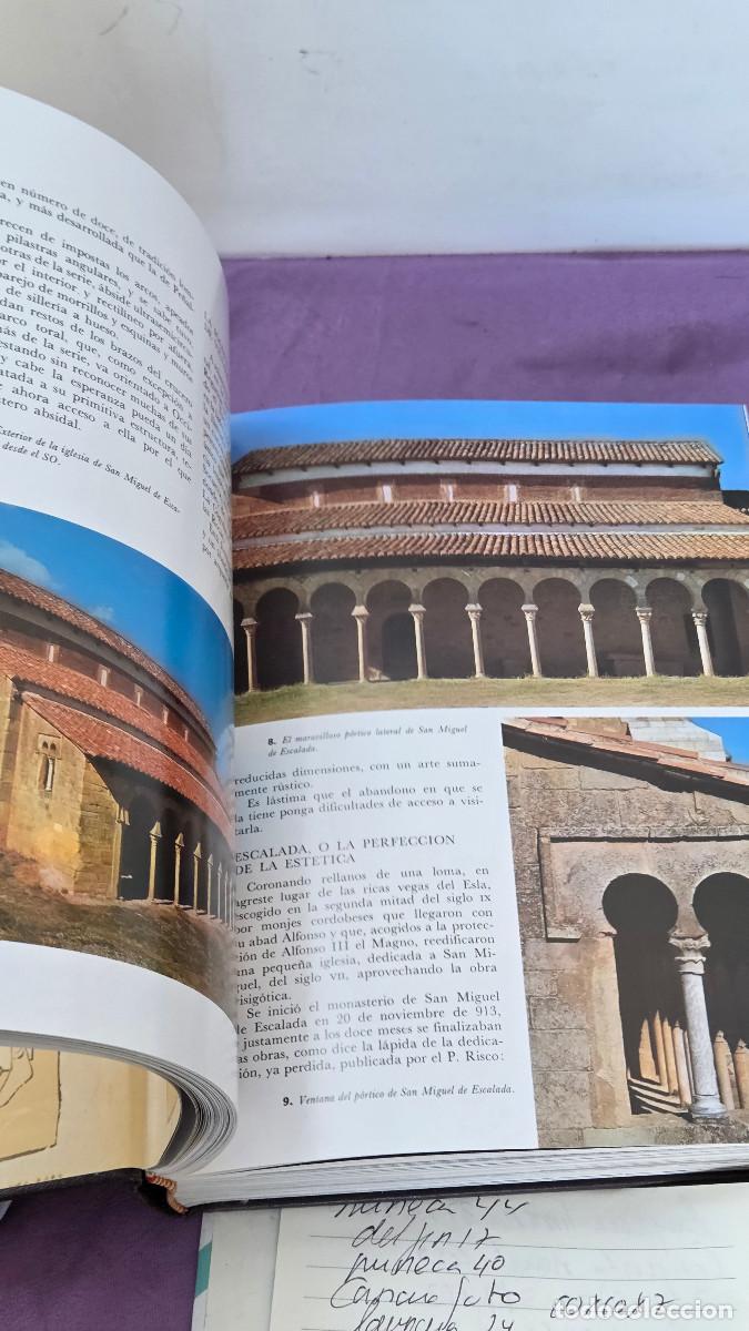 Vintage: libro de leon vintage - Foto 16