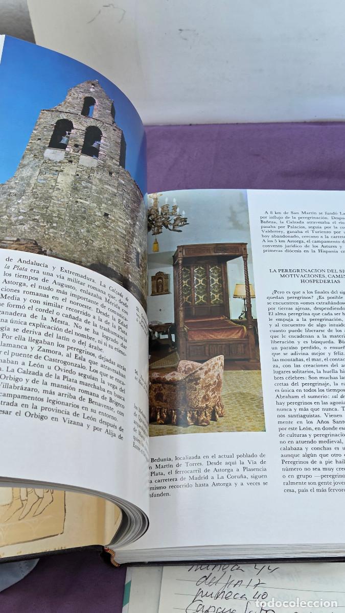 Vintage: libro de leon vintage - Foto 19