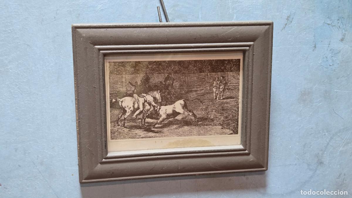 Vintage: cuadro con grabado de toro