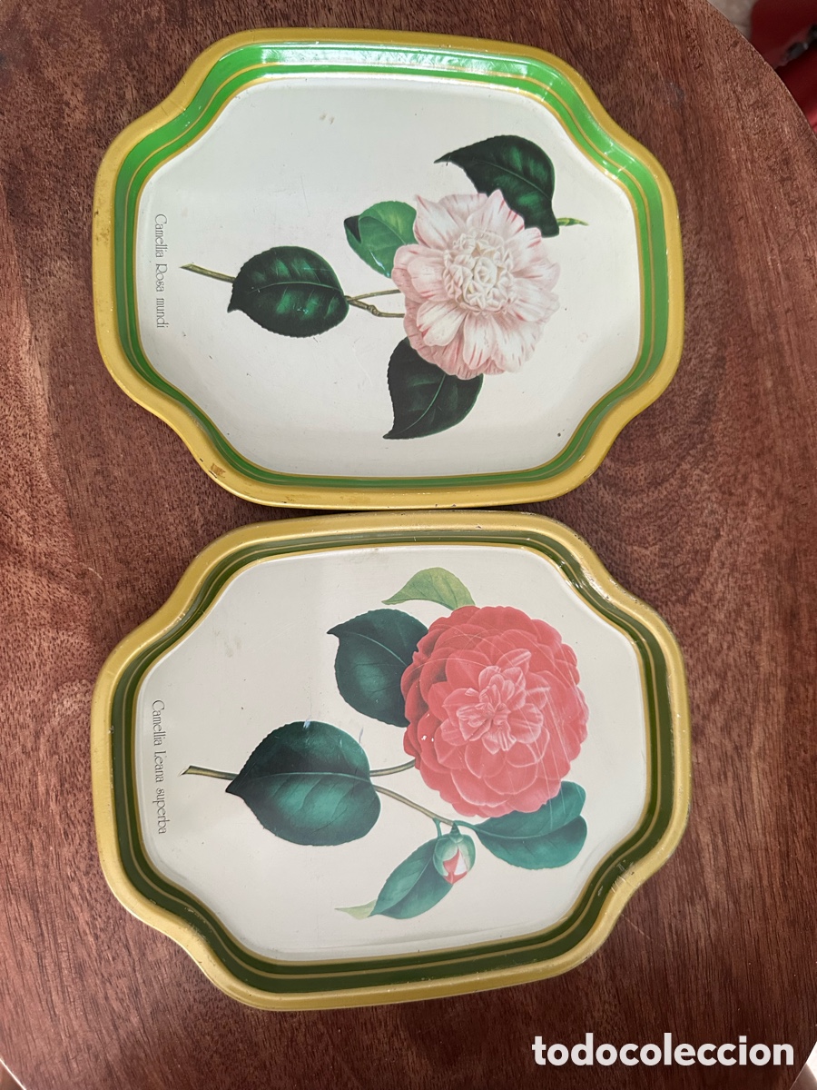 Vintage: Pareja de Bandejas de Metal Litografiado. Ilustraci&oacute;n Bot&aacute;nica Camelias. Elite Trays London.