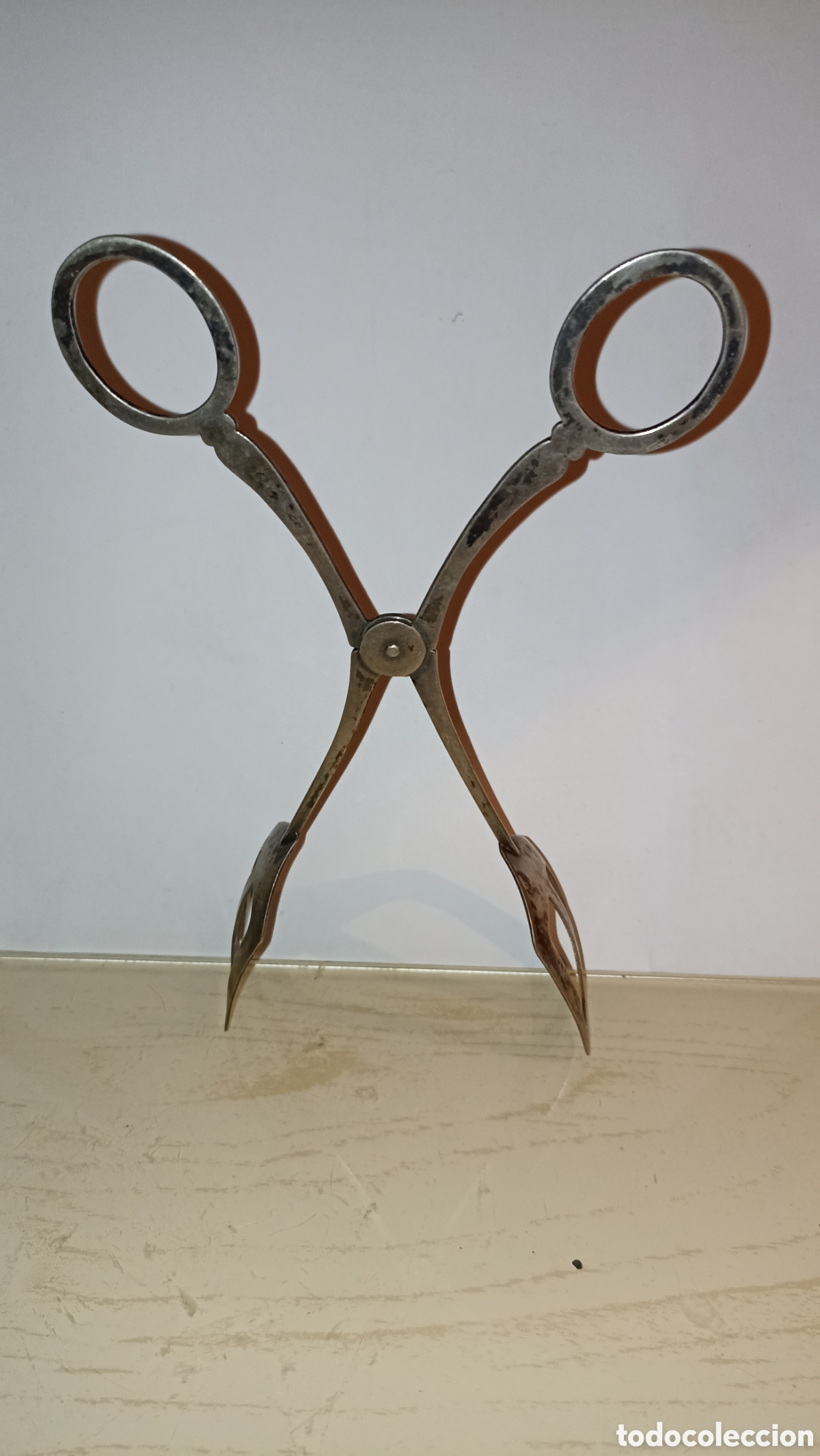Vintage: Antiguas pinzas de tijera para reposter&iacute;a o aperitivos (20 cm) &ndash; Metal vintage