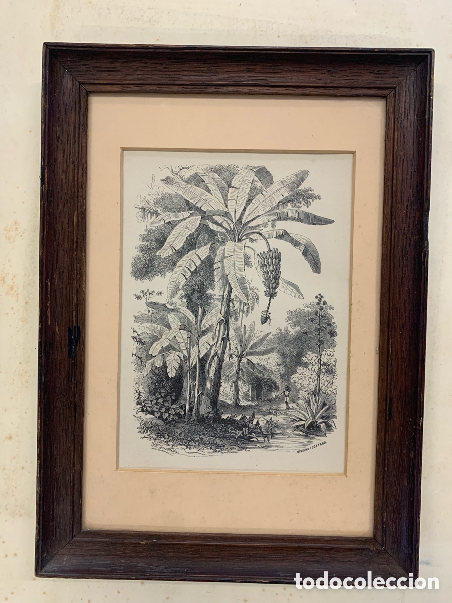 Vintage: Grabado antiguo franc&eacute;s