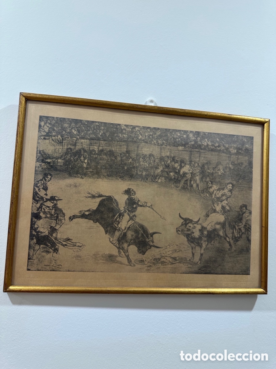 Vintage: obra gr&aacute;fica de Francisco de Goya y Lucientes titulada El famoso americano Mariano Ceballos.
