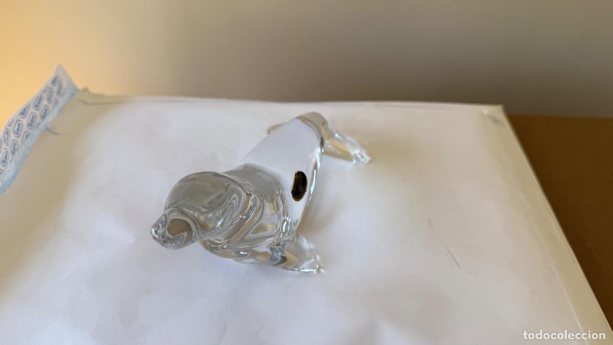 Foca de cistal boh&eacute;mia