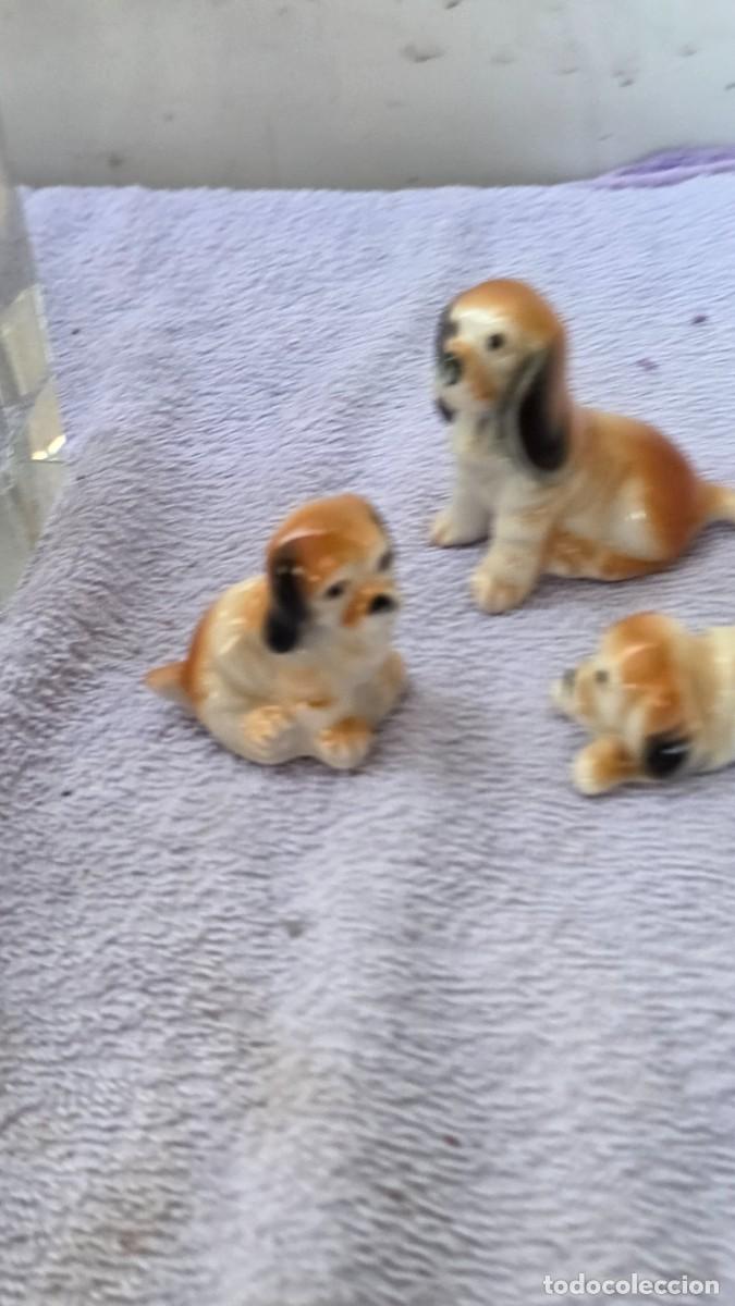 Vintage: 3 figuras de minis perro de porcelana - Foto 2