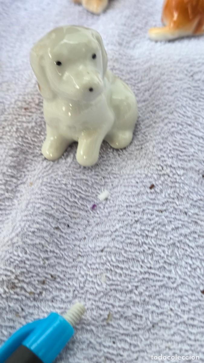 Vintage: mini figura de perro porcelana - Foto 4