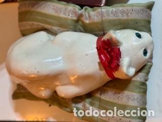 Vintage: Gato Blanco vintage recostado en cojin
