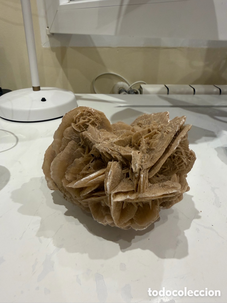 Vintage: Rosa del desierto grande, mineral natural (16 cm)