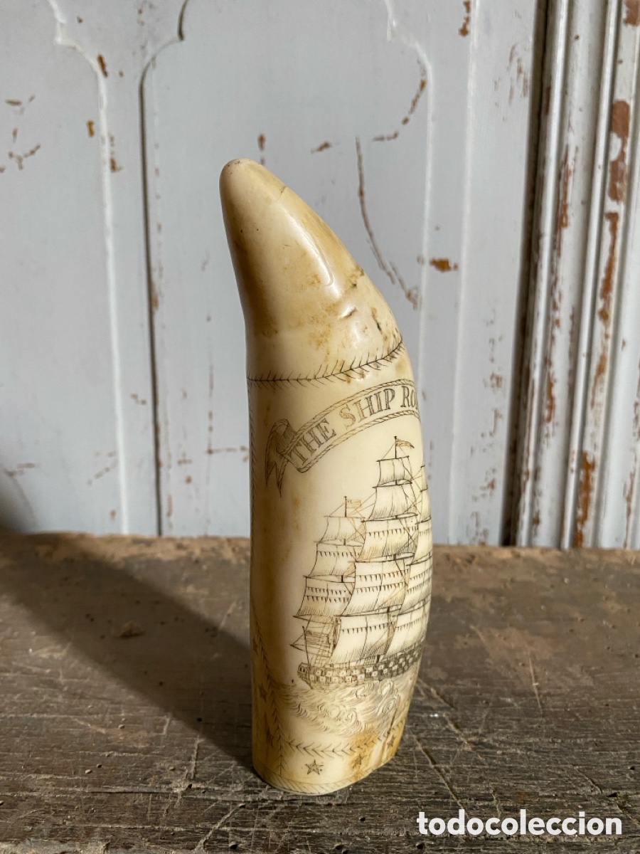 Vintage: Souvenir diente cachalote - Foto 6