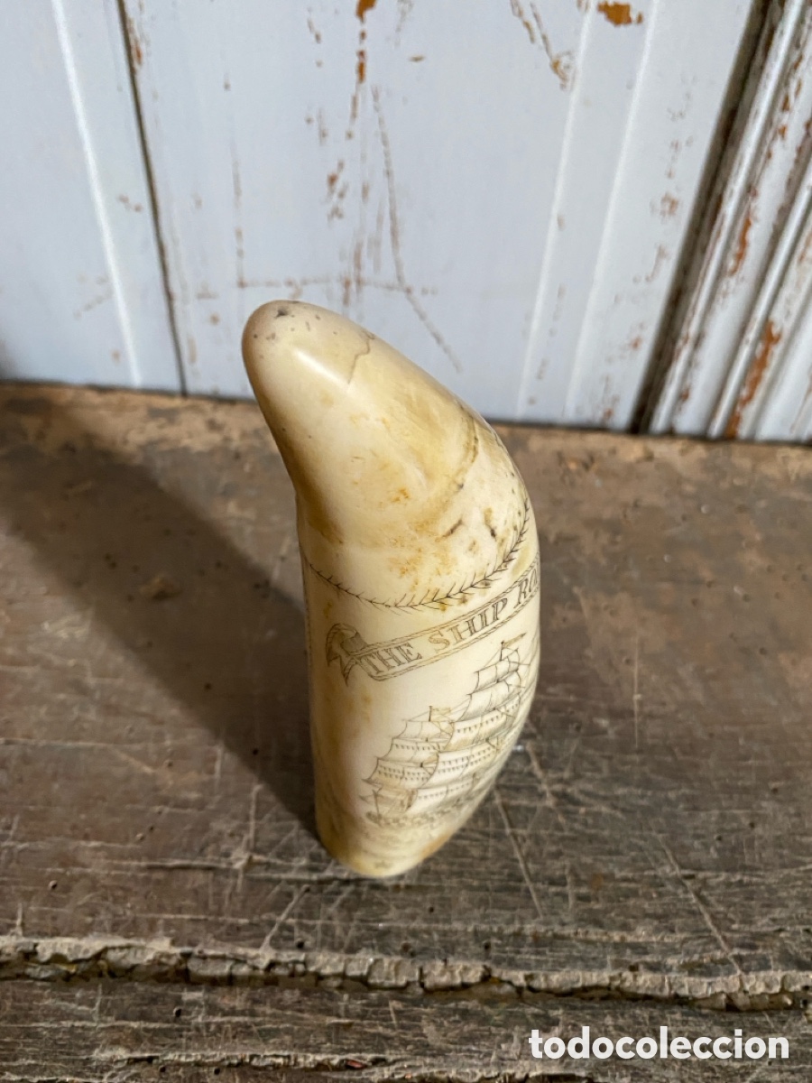 Vintage: Souvenir diente cachalote - Foto 7