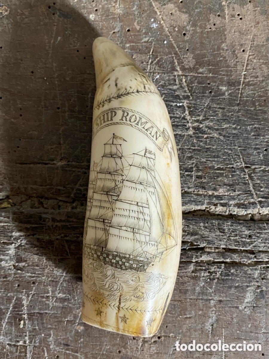 Vintage: Souvenir diente cachalote - Foto 12