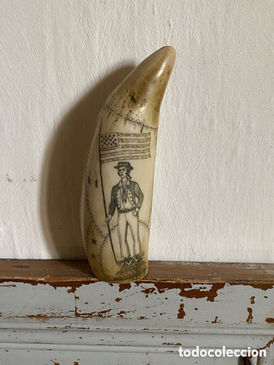 Vintage: Souvenir diente cachalote - Foto 14