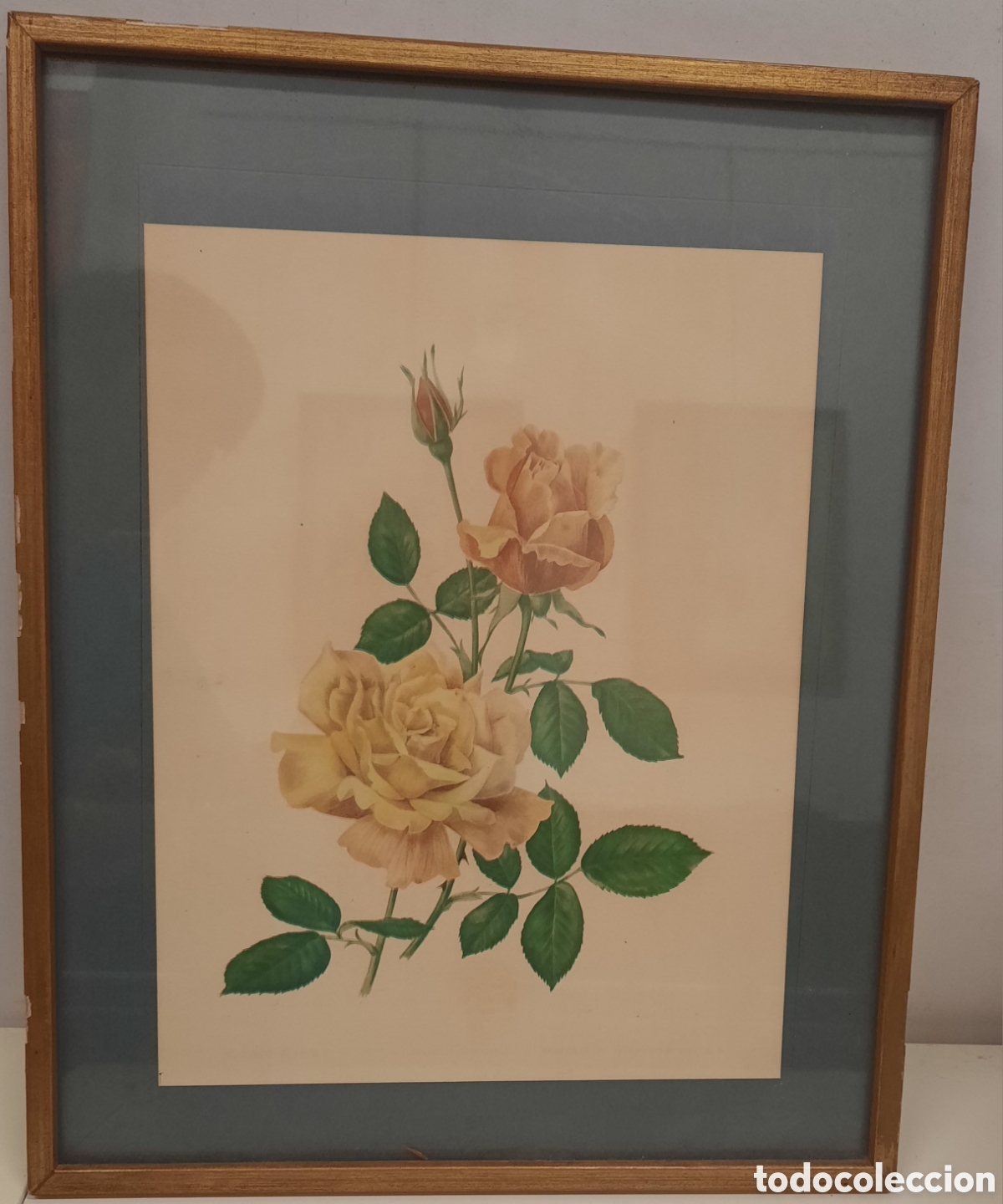 Vintage: Set de 2 L&aacute;minas Litogr&aacute;ficas de Rosas - Foto 2