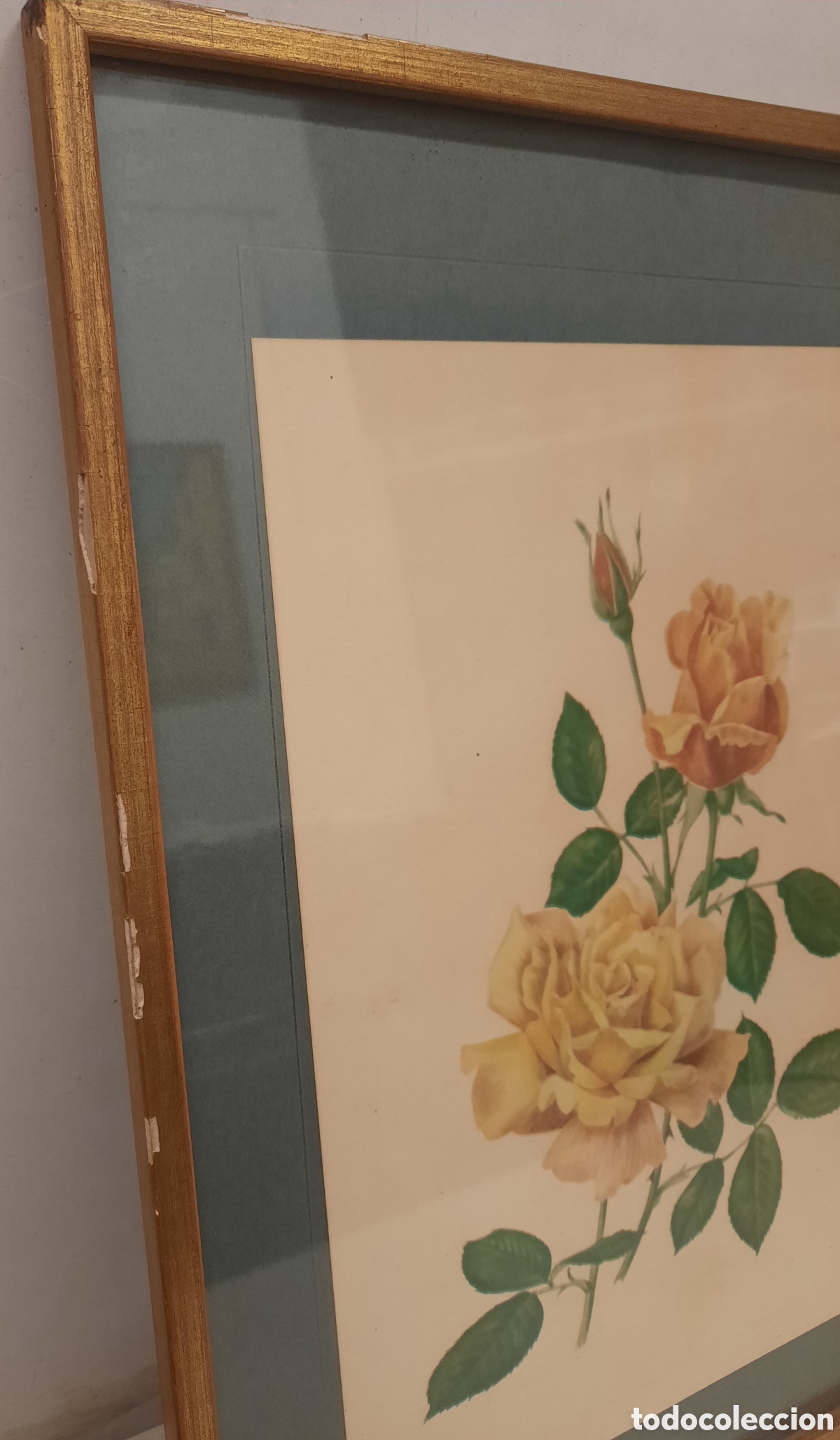 Vintage: Set de 2 L&aacute;minas Litogr&aacute;ficas de Rosas - Foto 3