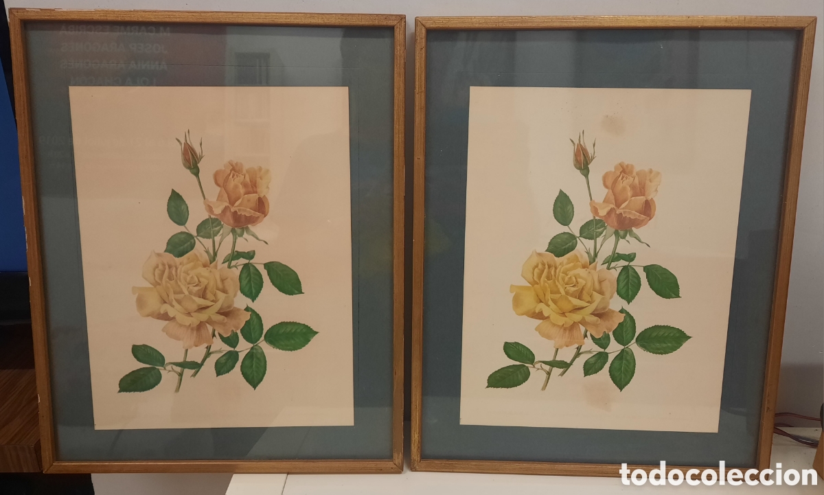 Vintage: Set de 2 L&aacute;minas Litogr&aacute;ficas de Rosas