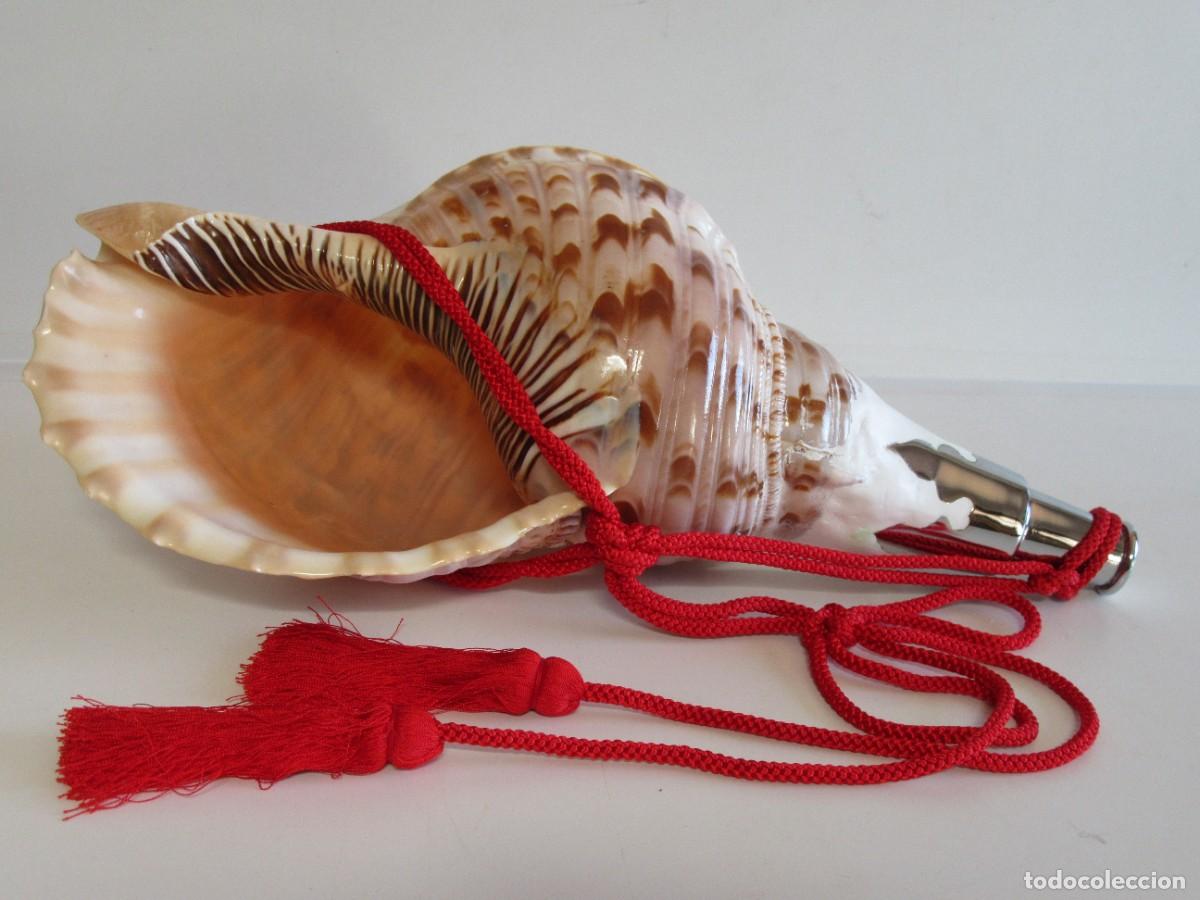 Vintage: CARACOLA CONCHA HORAGAI PERIODO SHOWA 1926-1989
