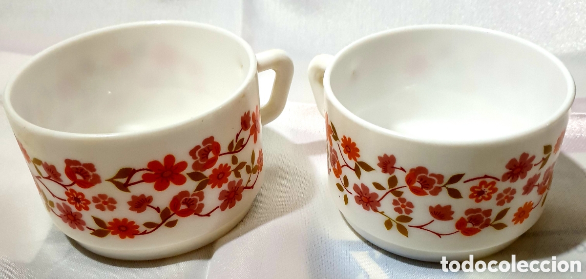 Vintage: 2 tazas desayuno o sopa Arcopal Scania